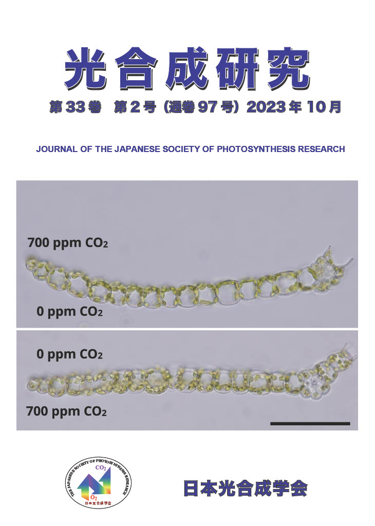 光合成研究97号