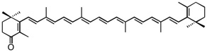 283 echinenone.jpg