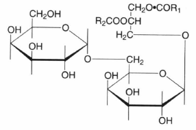 ジアシルグリセロール - Wikiwand