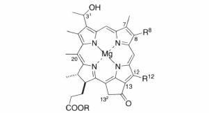 bacteriochlorophyll c.png