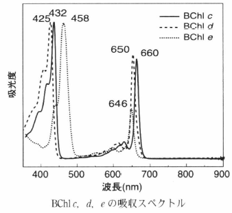 bacteriochlorophyll e-2.png