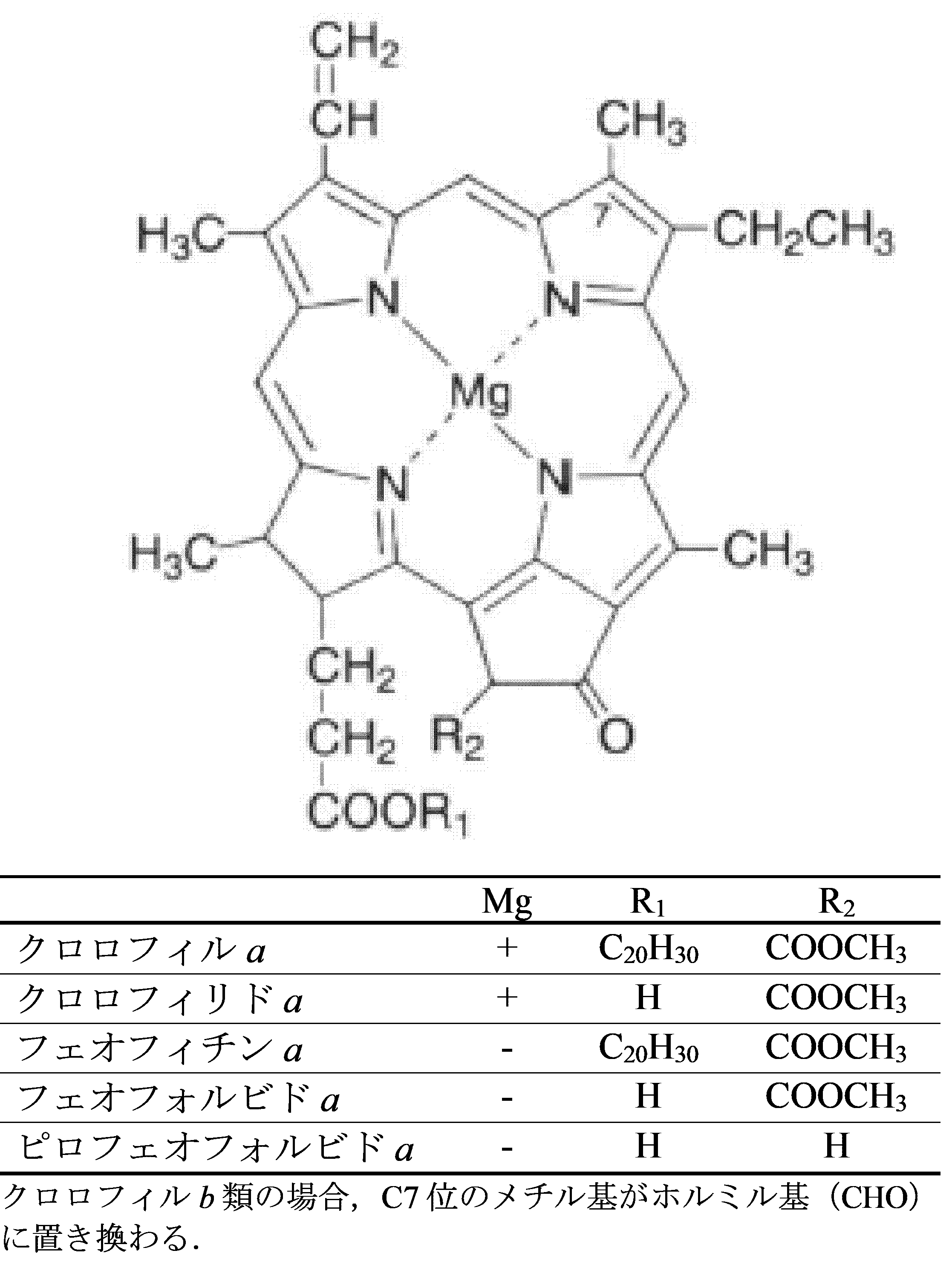 pheophorbide a.png