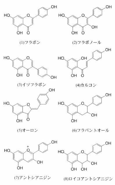 フラボノイド - 光合成事典