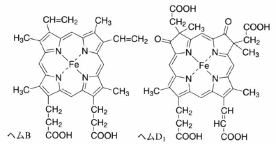 hemoprotein.png