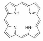 porphyrin.png