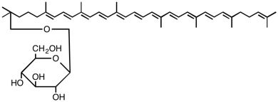 95 rhodopin-G.jpg