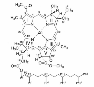 Zn-bacterio-Chl a.png