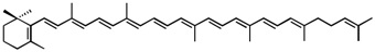 12 g-carotene.jpg