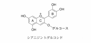 anthocyanin.png