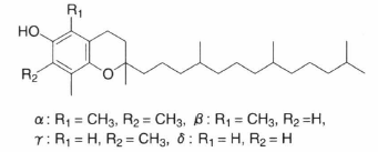 tocopherol.png