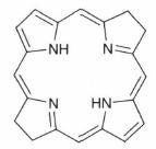 Bacteriochlorin.png