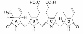 phycoerythrobilin.png