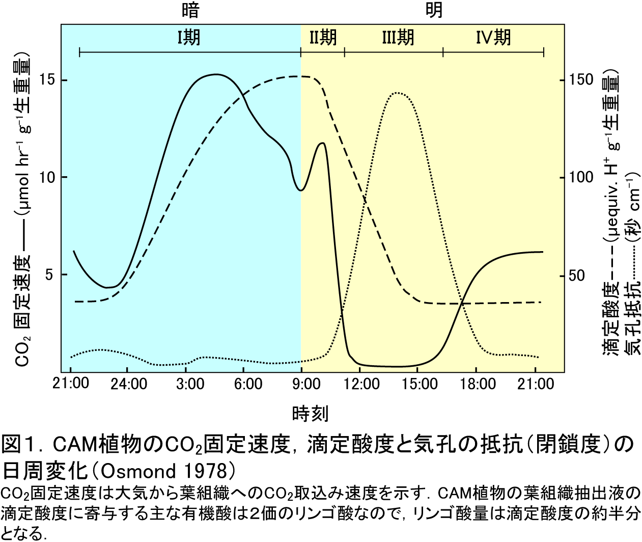 4phases-cs3-v5b.png