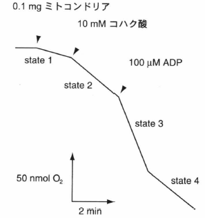 respiratory control ratio.png