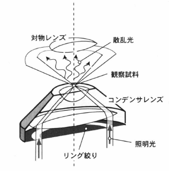 dark field microscope.png