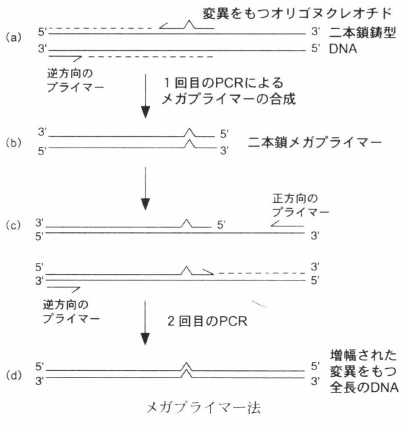 mutagenesis-2.png