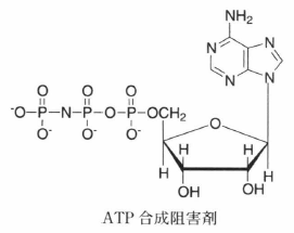 ATP analogue.png