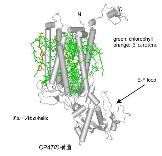 CP47.jpg