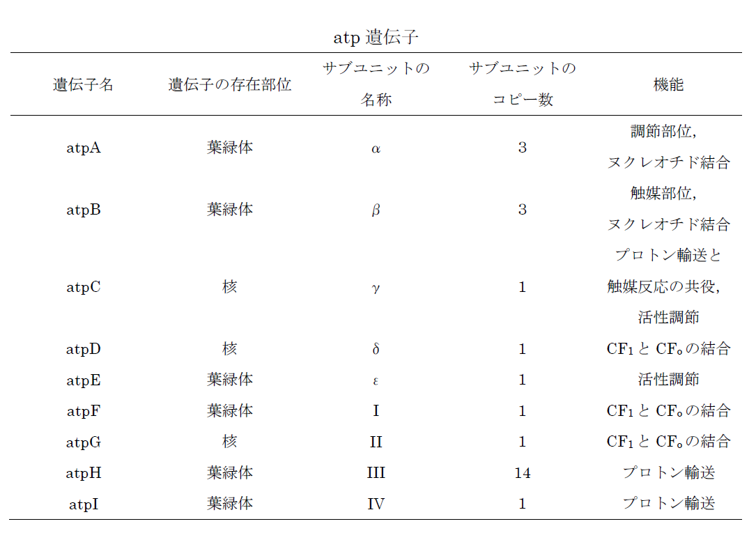 atp_idenshi.png